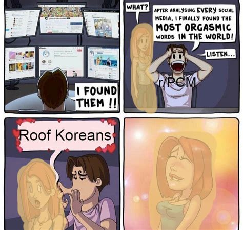 Roof Koreans Best Koreans Rpoliticalcompassmemes