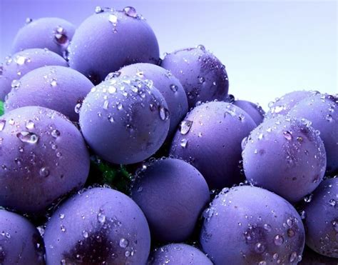 Blueberry Hd Wallpaper Free High Definition Wallpapers