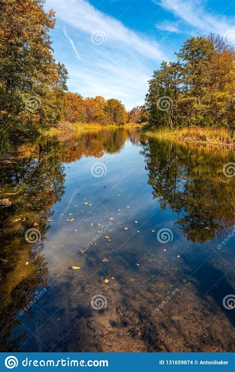 A Quiet Tired River Flows Through The Autumn Sunny Forest 2 Stock Photo