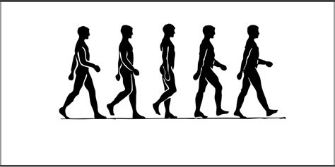 Health Begins With Proper Posture Optimum Health Rehab