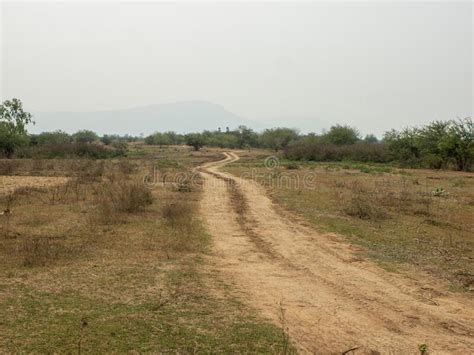 Gravel Road Through Dry Meadows Evening View Stock Photo Image Of