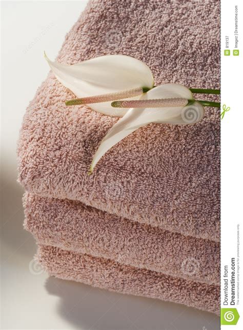 Pink Towels And Flowers Stock Image Image Of Fresh Closeup 819137