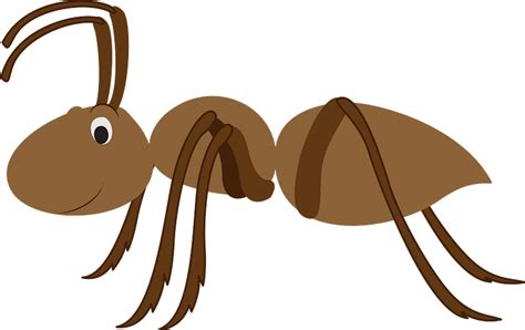 Download Free Ant Png Transparent Background And Clip