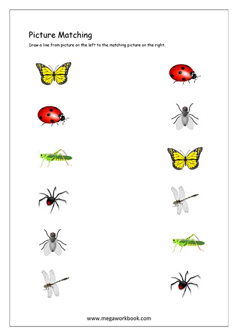 22 Bug Matching Worksheets For Preschoolers Coloring Style Worksheets