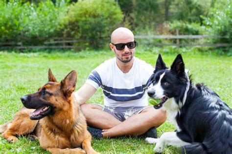 Why Do German Shepherds Smell Bad Embora Pets