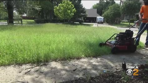 Learning the basic lawn mowing patterns will make your. Pittsburgh Opens Applications For Free Lawn-Cutting ...