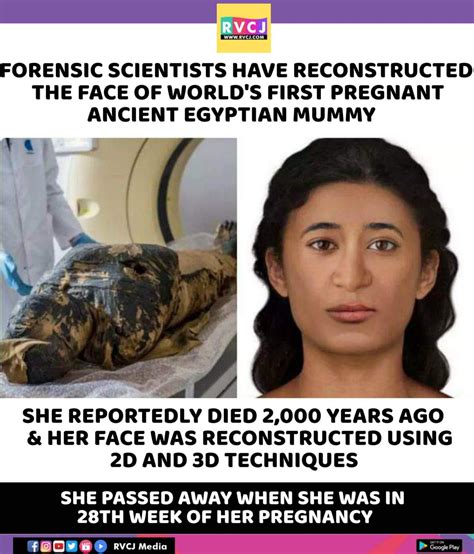 Rvcj Media On Twitter The Face Of World S First Pregnant Ancient Egyptian Mummy 🤰