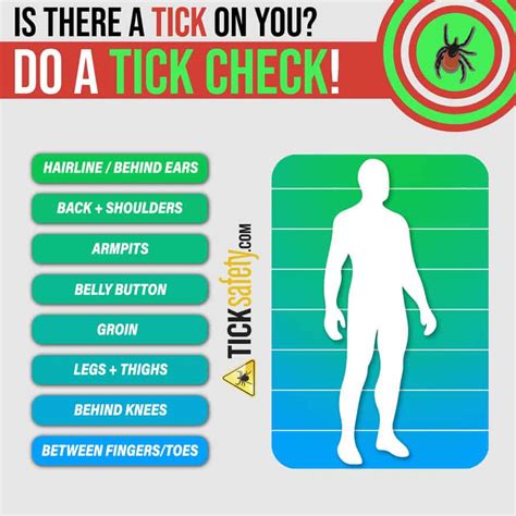 How To Do A Tick Check Tick Prevention