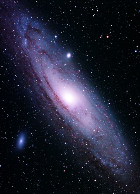 The Andromeda Galaxy | SPONLI - News
