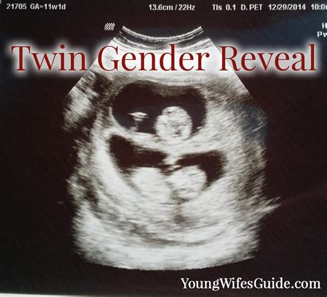 Our Twin Gender Reveal For Our Second Set Of Twins