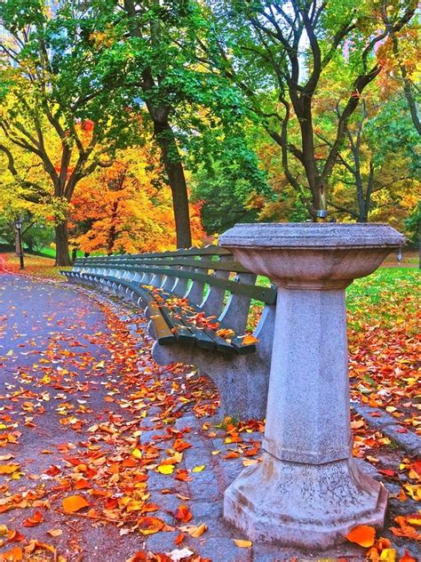 Central Park New York New York Autumn In New York Central Park