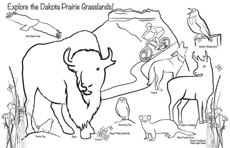 Grasslands Coloring Pages Coloring Home