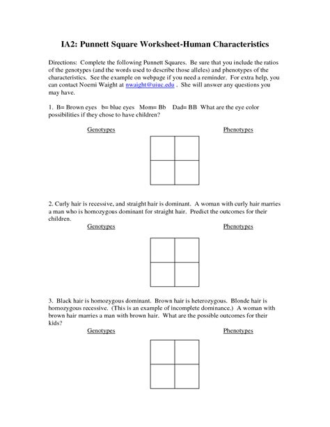 13 Punnett Square Worksheets With Answers Worksheeto