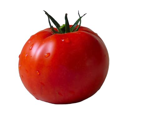 Gambar Dua Tomat Tomat Saus Sayuran Png Transparan Clipart Dan File