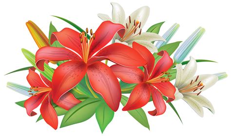 Lily Clipart Pomegranate Flower Lily Pomegranate Flower Transparent Free For Download On