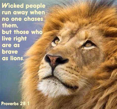 Proverbs 281 Spirit Animal Quiz Lion Spirit Animal Animal Symbolism