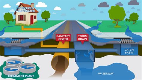 protecting our storm drains safeguards our water amwua