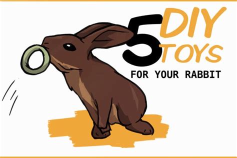 5 Diy Easy Rabbit Chew Toys To Make A Step By Step Guide In 2020