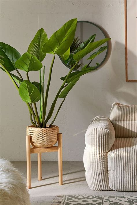 A Living Room With A Couch Chair And Potted Plant