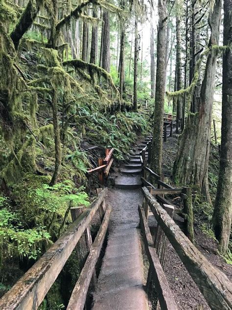 10 Top Places To Visit In Olympic National Park Olympic National Park