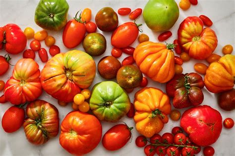 The Essential Guide To Tomatoes