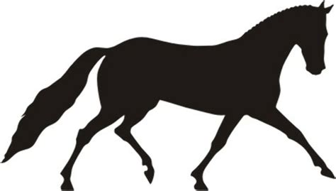 Download High Quality Horse Clipart Dressage Transparent Png Images