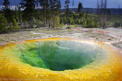 Morning Glory Pool Yellowstone National Park Wyoming Photos By