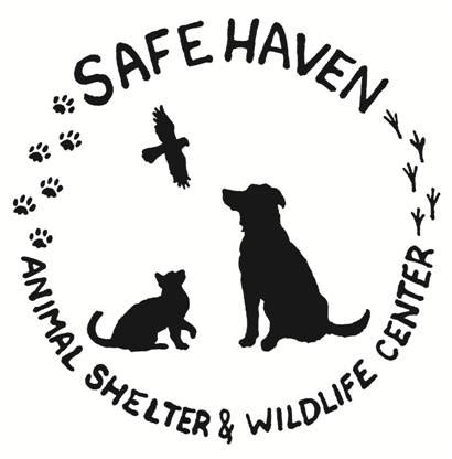 We are always looking for responsible, loving fosters to help save an animal. You should probably read this about Safe Haven Animal ...
