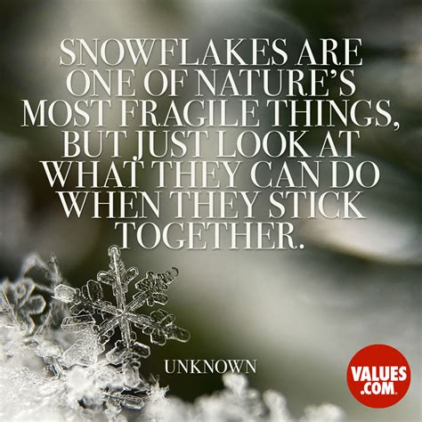 57 Quotes About Snowflakes Being Unique More Quotes