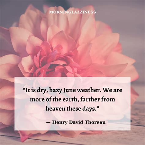 50 Beautiful June Quotes To Feel Ecstatic And Elated Morning Lazziness