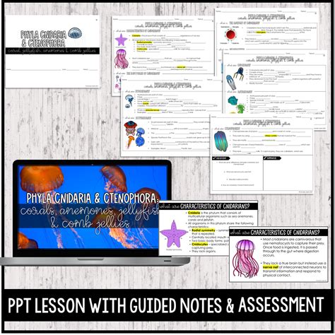 Phyla Cnidaria And Ctenophora Unit Bundle Secondary Sparks