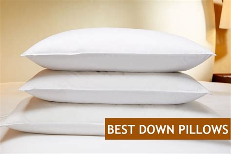 How To Hump A Pillow Step By Step