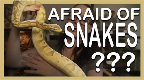 Afraid Of Snakes Heres Why You Shouldnt Be Youtube