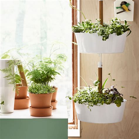 Fun Planter Ideas That Will Brighten Up Your Indoor
