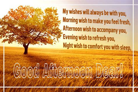 150 Best Good Afternoon Messages Sweetest Messages