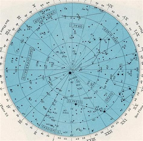 1955 Star Map 51 Constellations Original Vintage Celestial Astronomy