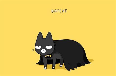 Batcat Cat Quotes Black Cat Cool Cats