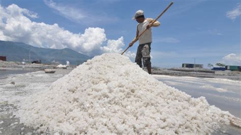 Berapa Potensi Produksi Garam Di Indonesia Kumparan Com