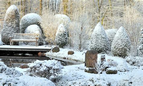 Mehr als 100 hinweise zu allem, was man im winter beachten muss: 8 Tipps für den Garten im Winter | GARTANA