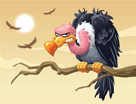 Ugly Bird Illustrations Royalty Free Vector Graphics And Clip Art Istock
