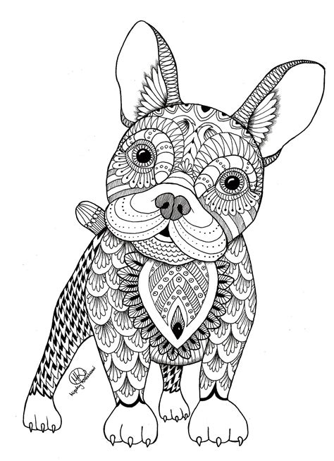 Pin On Coloring Book Animals Nature Wildlife