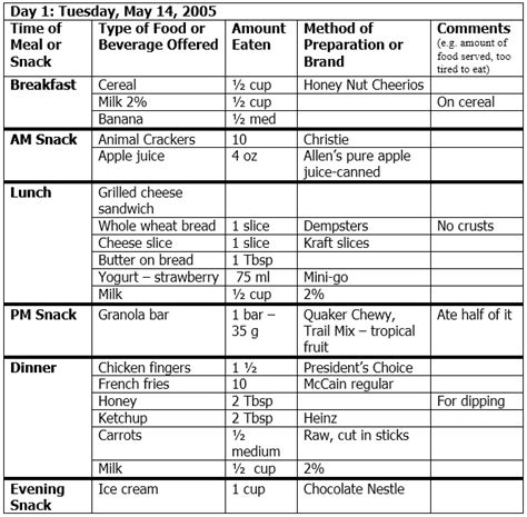 17 Free Sample Food Log Templates Printable Samples