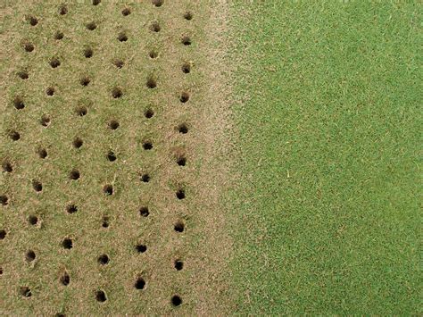 Why Is It Important To Poke Holes In Your Greens Golfmagic