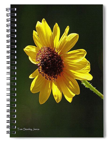 Sunflower Spiral Notebook By Tom Janca Spiral Notebook Original Art