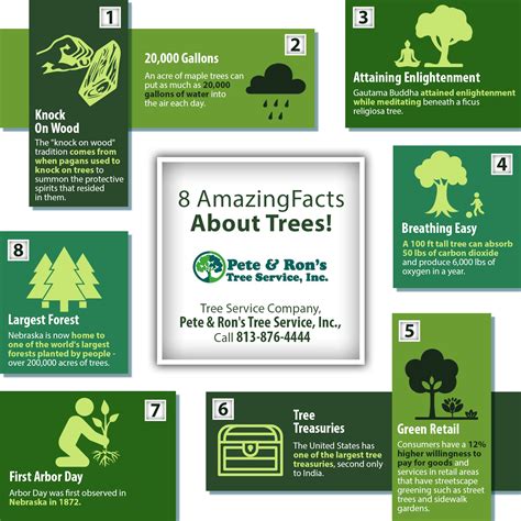 8 Amazing Facts About Trees Shared Info Graphics