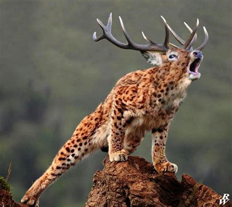 Гибридные животные Photoshopped Animals Animal Mashups Fake Animals