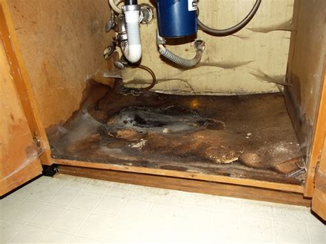 Even if black mold isn't visible, it could be growing on the underside of the sink cabinet or behind the wallboard. Housekeeping issues---at what point does one realize there ...