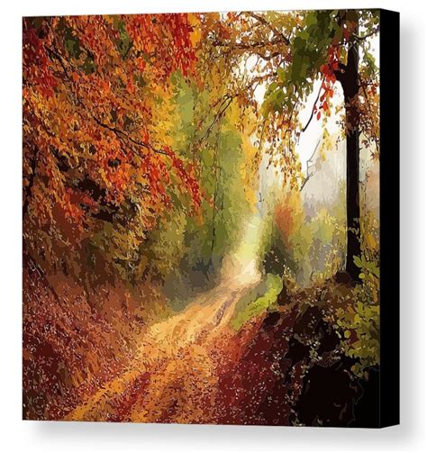 Autumnal Pathway Canvas Print Canvas Art By Clive Littin Paysage