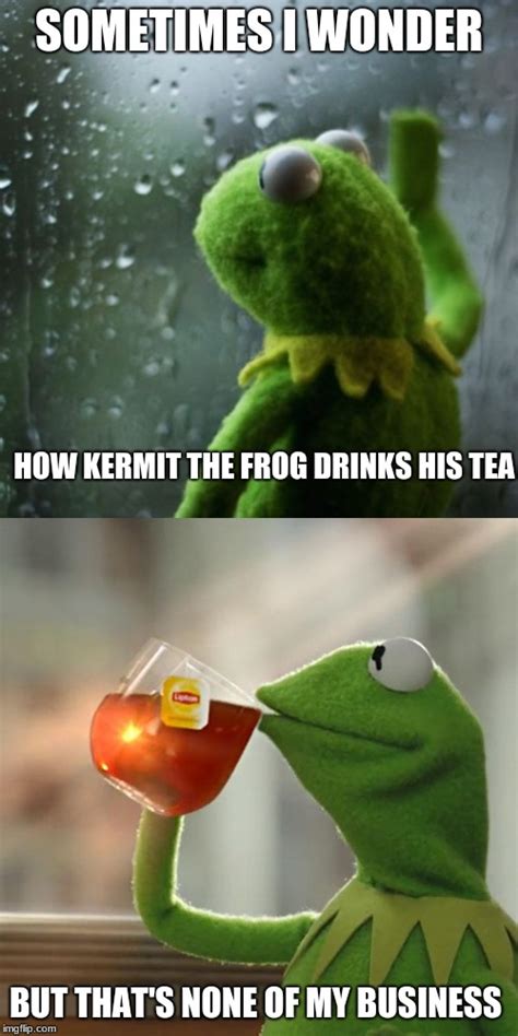 Sometimes I Wonder Kermit Imgflip