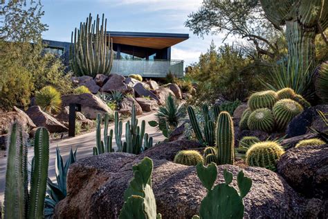 Xeriscaping How To Create A Drought Tolerant Landscape